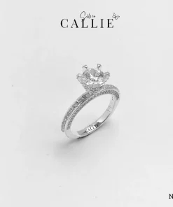 N513 - Nhẫn Bạc Thiết Kế Callie Silver 1 Viên Chủ 2 Bên Đính Đá
